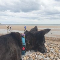 Mark Wapples (@mark_wapples) 's Twitter Profile Photo Mark Wapples (@mark_wapples) 's Twitter Profile Photo