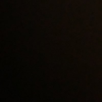 TopHatRabbitt's profile picture. G