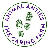 AnimalAntiks(@animal_antiks) 's Twitter Profile Photo