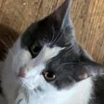 C4E OPENさんのプロフィール画像