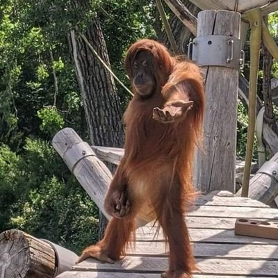 RatcaNonk's profile picture. เป็นนักศึกษานักล่าปริญญา