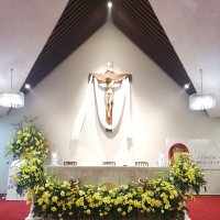 Our Lady of Lourdes Catholic Church (@lourdesparish) 's Twitter Profile