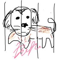 べーやん(鬼べえ) (@00typeg00) 's Twitter Profile