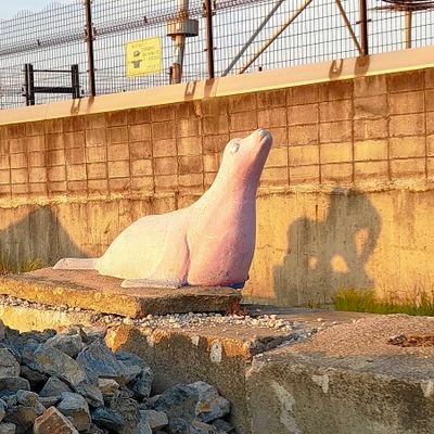midochan777's profile picture. 屈辱と靴底ってなんか似ていますね。
踏みにじられることを知っているとことか。