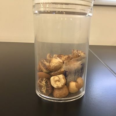 大阪医科薬科大学の漢法医学研究部の新設Twitter垢です。
今年度は何かしらの活動を行いたいと思います。(主に部活道、生薬試験の模擬など)
作成者は22年度の漢研部長です。