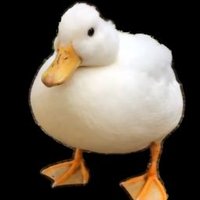 Skul (@skulduggery1337) 's Twitter Profile Photo