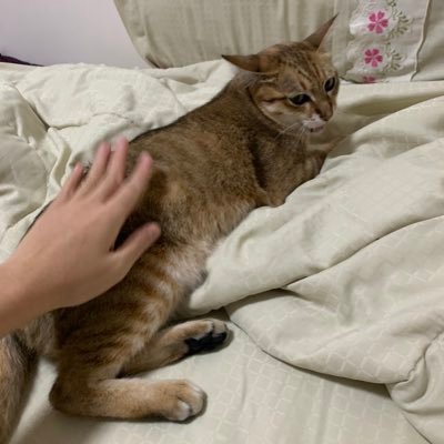 jacholr's profile picture. 