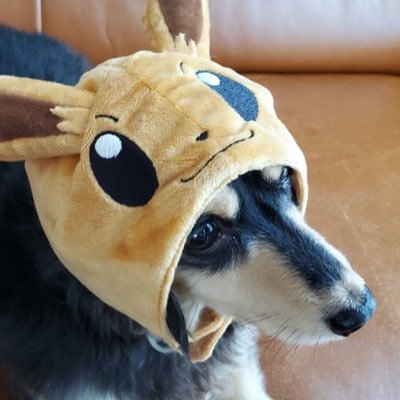 Uruさんのプロフィール画像