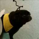 April Hansen - @deviantash - Twitter