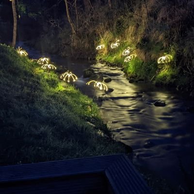 Nastyjonny516's profile picture. Old enough to know better but better isn't always right