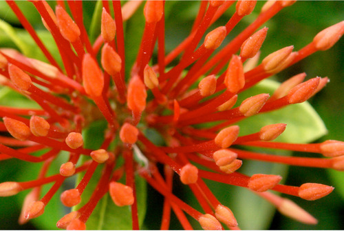 HarmonyJournal's profile picture. Sharing stories, tips and interviews to help women come from a place of harmony.