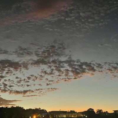 chakazulu33's profile picture. 