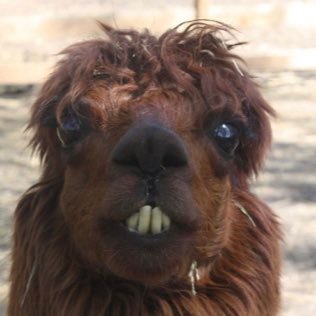 Fotographenfoto's profile picture. Filmfan| Games | Serien