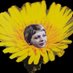 Cynthia (@cynthj) Twitter profile photo Cynthia (@cynthj) Twitter profile photo