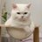 ppp_natty's profile image