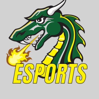 Esports at @TiffinU competing in @GLEC_GG | Interested? Check out the link below for opportunities! #gogons