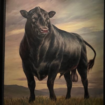 Old Bull - follow me for bullshitposting… IFBAP