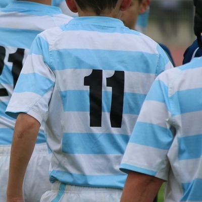drndsn77's profile picture. Supporter OBJECTIF du rugby... même quand mon club n'assure pas.
Essayez pour voir 😅
#Rugby #RacingFamily #XVdeFrance #U14