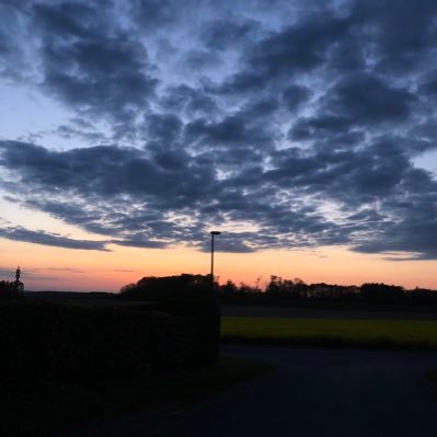 nessy_drv's profile picture. 