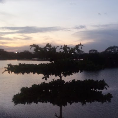 MilenaS33227194's profile picture. ❤❤❤❤
