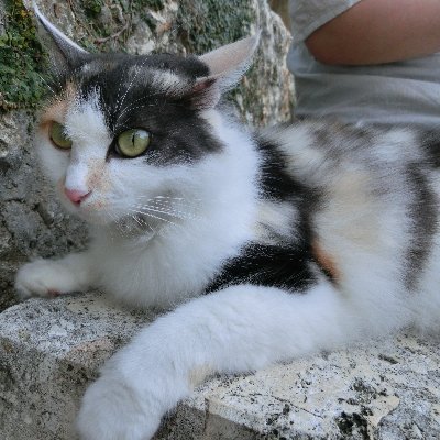 プログラミングって面白い!ここから始まりました。 色々な人と関りをもって、クライアント様に貢献できるコーダーになります! 朝活継続中。3時か4時から活動開始しております。夜は早寝w沢山の人に貢献できるようになりたい! #みんなでポジティ部 #CodeUps #cocomate 1期生