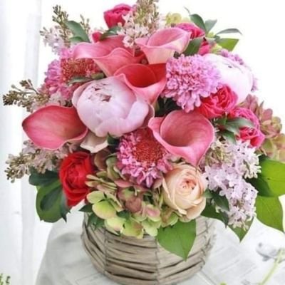 AshishC31184689's profile picture. Nothing is stagnant