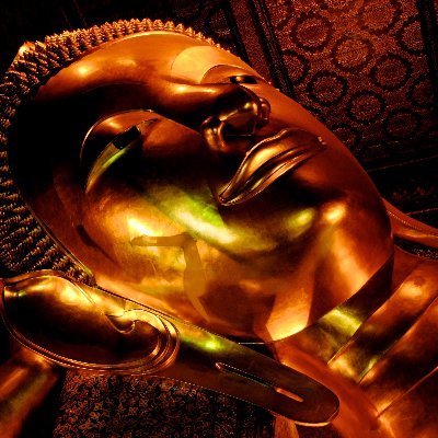 AmDefii's profile picture. #Bitcoin Fever!