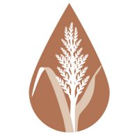 DrylandGenetics (@drylandgenetics) 's Twitter Profile Photo DrylandGenetics (@drylandgenetics) 's Twitter Profile Photo