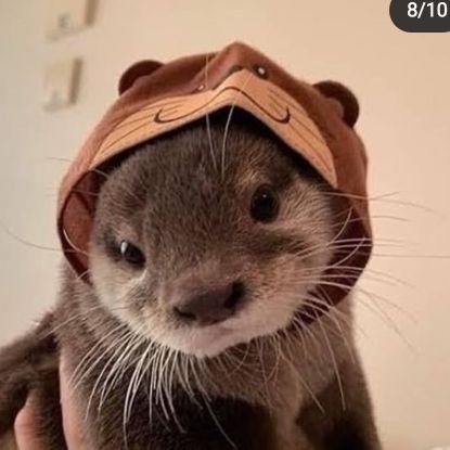 its_Yeyoo's profile picture. 