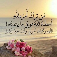 الدكتور عبد الباسط ابو جعفر (@abalteb11) 's Twitter Profile