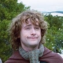 Dr. Pippin (@VetPippin) / Twitter