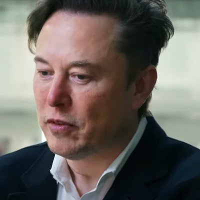 RayAIphd's profile picture. cat