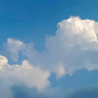 陈春暖 (@chenchunnuan1) 's Twitter Profile Photo