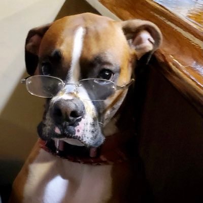 andrea_slavin's profile picture. 