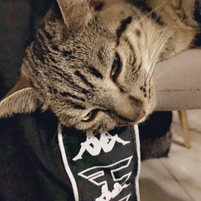 25 • Enthusiastic, self reliant and avid gamer based in France • Make your dream a reality • @SkyRaw Backup