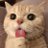 deomi63's profile image