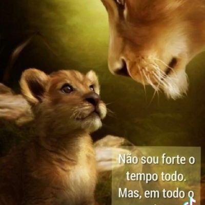 Leocir76909324's profile picture. 