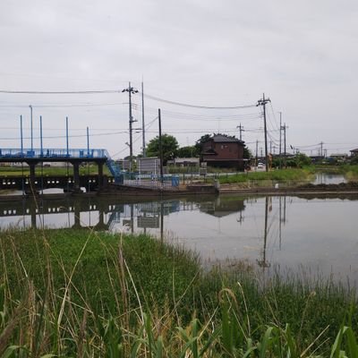 埼玉県行田市斉条にある斉条堰
脇にある浮桟橋でごみあげやってます。