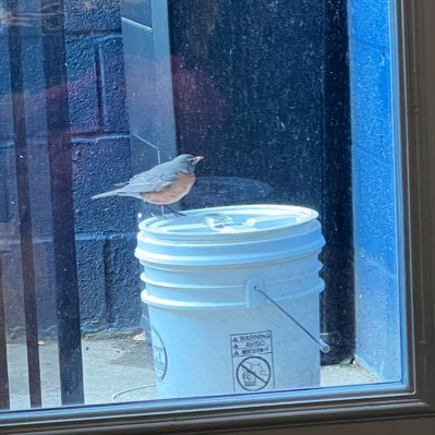 FeitingWords's profile picture. Senior Attorney & Legal and Research Manager, Fossil Economy Center for International Environmental Law @CIEL_tweets | husband to @michelle_feit | Ⓥiews mine 🍎