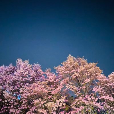 raghavendrakr's profile picture. 