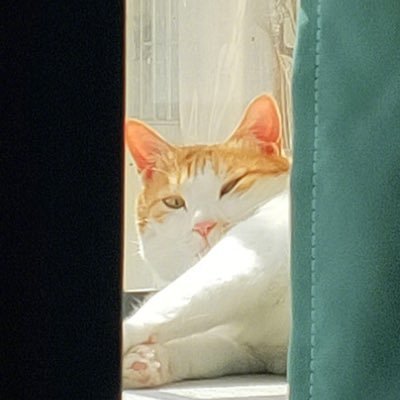 closertoyou_141's profile picture. 