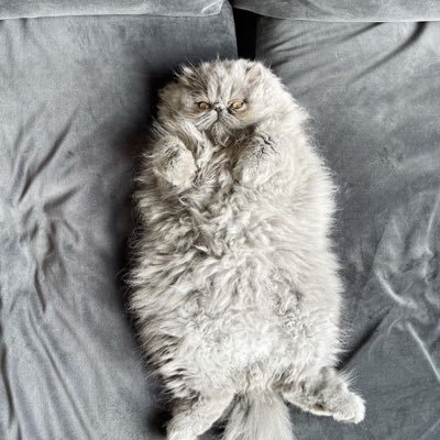 maxtalks_'s profile picture. PERSONAL