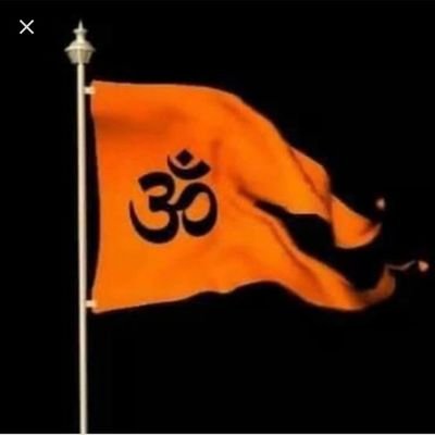 RSS

BJP

VHP

All Hindu Organisations