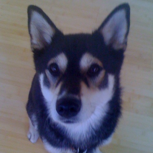 bcc1937's profile picture. 