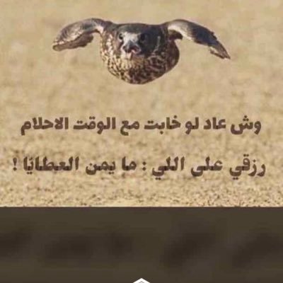 mhmalazmi666k's profile picture. 