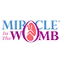 Miracle In The Womb(@MiracleWomb) 's Twitter Profile Photo