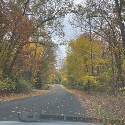 Searchingchil's profile picture. 