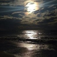 gregthedinosaur (@tylerma85490205) 's Twitter Profile