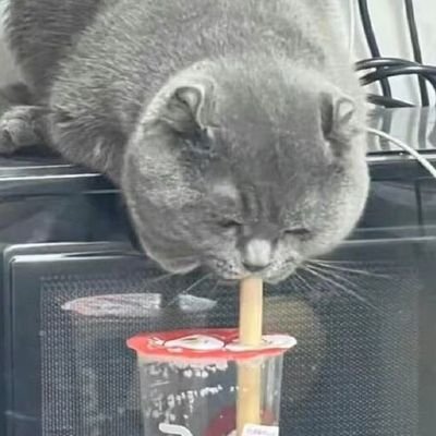 鳥神星☼さんのプロフィール画像