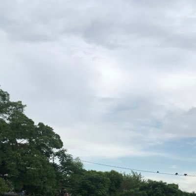 rivannnx's profile picture. 